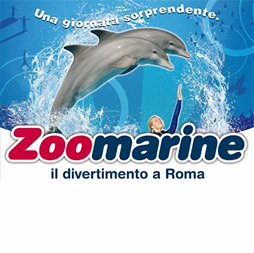 hote 3 zoo marine